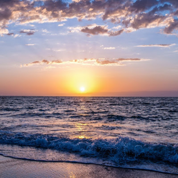 Meet your Posher, Hailey - Picture 1 of 1